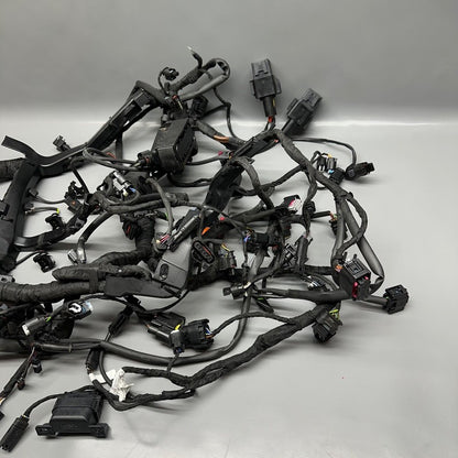 S1000R BMW S1000R MAIN ENGINE HARNESS 2020 2021 2022 2023 2024 2025 OEM