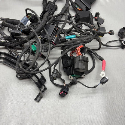 BMW C 650 EVOLUTION MAIN WIRING HARNESS 2015 2016 2017 2018 OEM