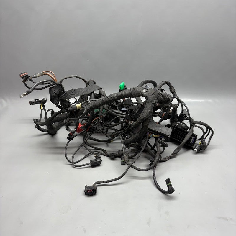 8545376 BMW S1000XR MAIN ENGINE HARNESS 2014 2015 2016 2017 2018 2019 OEM 8545376