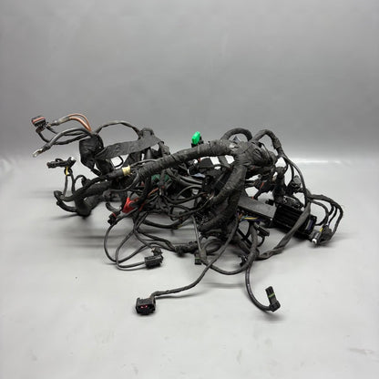 8545376 BMW S1000XR MAIN ENGINE HARNESS 2014 2015 2016 2017 2018 2019 OEM 8545376