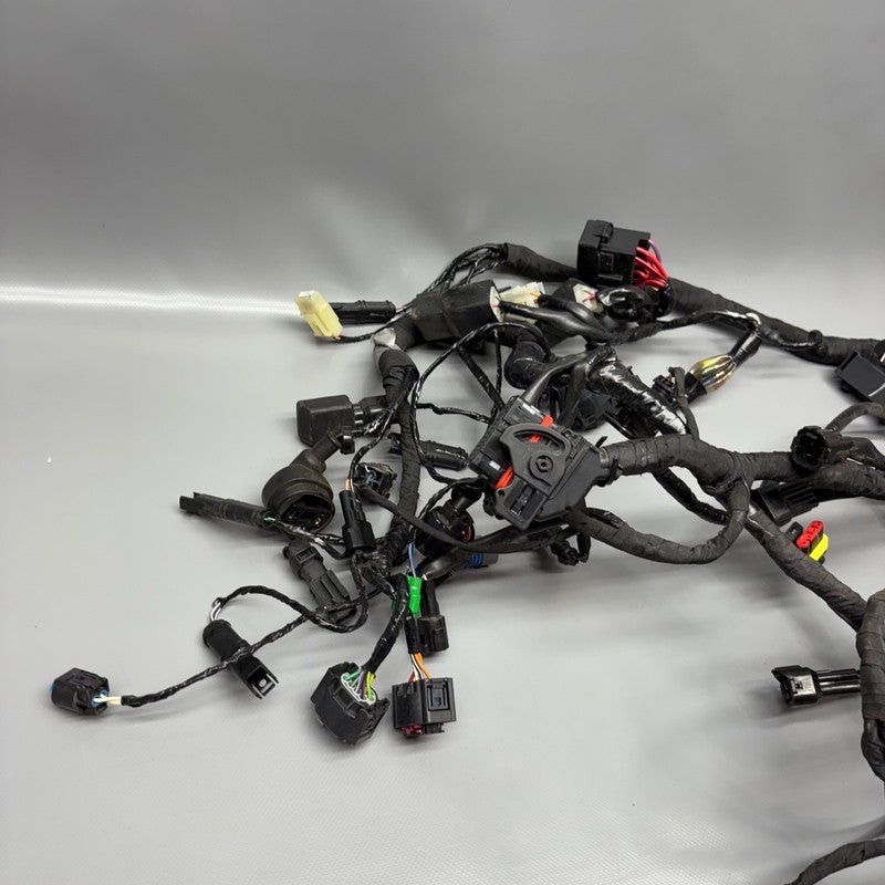 BMW G310R US MAIN ENGINE WIRE HARNESS 2016 2017 2018 2019 2020 OEM 835