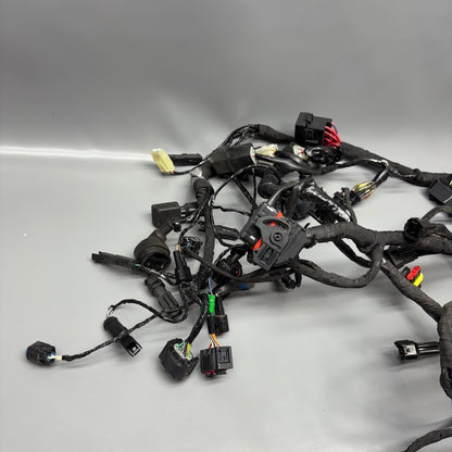 BMW G310R US MAIN ENGINE WIRE HARNESS 2016 2017 2018 2019 2020 OEM 835