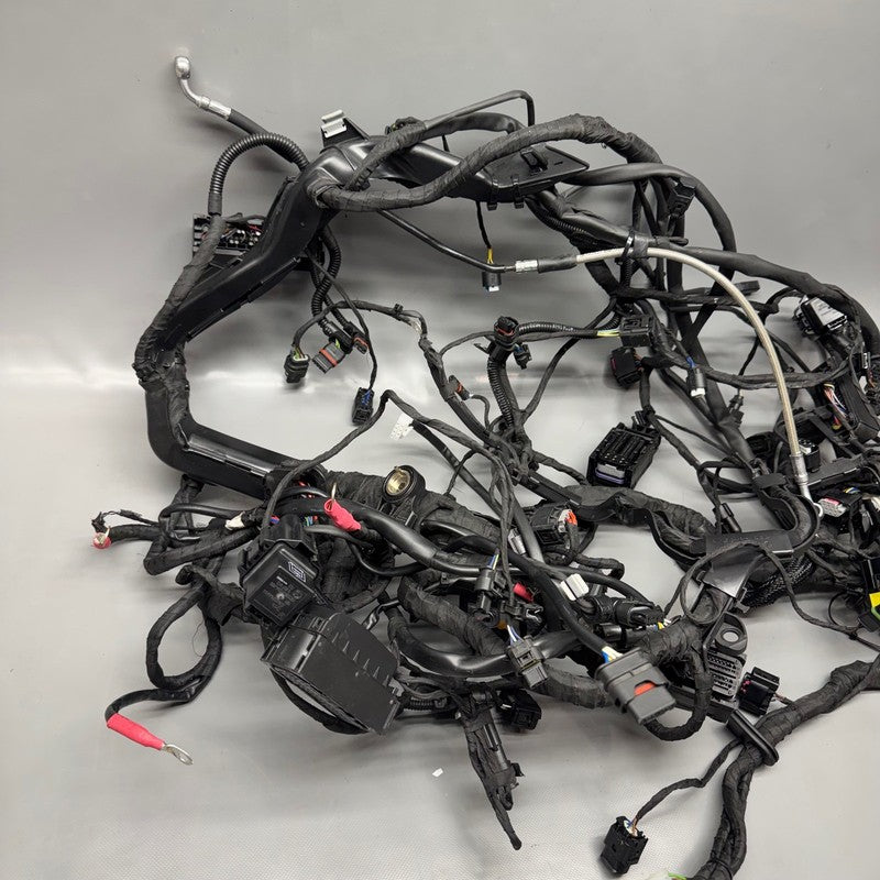 8555757 BMW R1250RT MAIN ENGINE HARNESS 2013-2017 2018 2019 2020 2021 2022 2023 2024 OEM