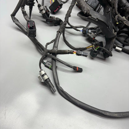 BMW S1000R MAIN ENGINE HARNESS 2020 2021 2022 2023 2024 2025 OEM