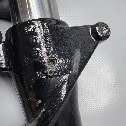 G310GS BMW G310GS FORK LEG RIGHT SIDE 2018 2019 OEM 