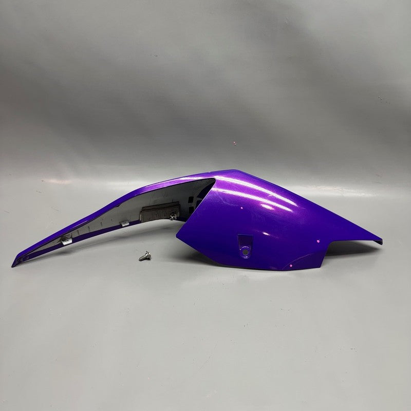 BMW S1000RR K67 REAR LATERAL PART RIGHT 2018 2019 2020 2021 2022 OEM 8