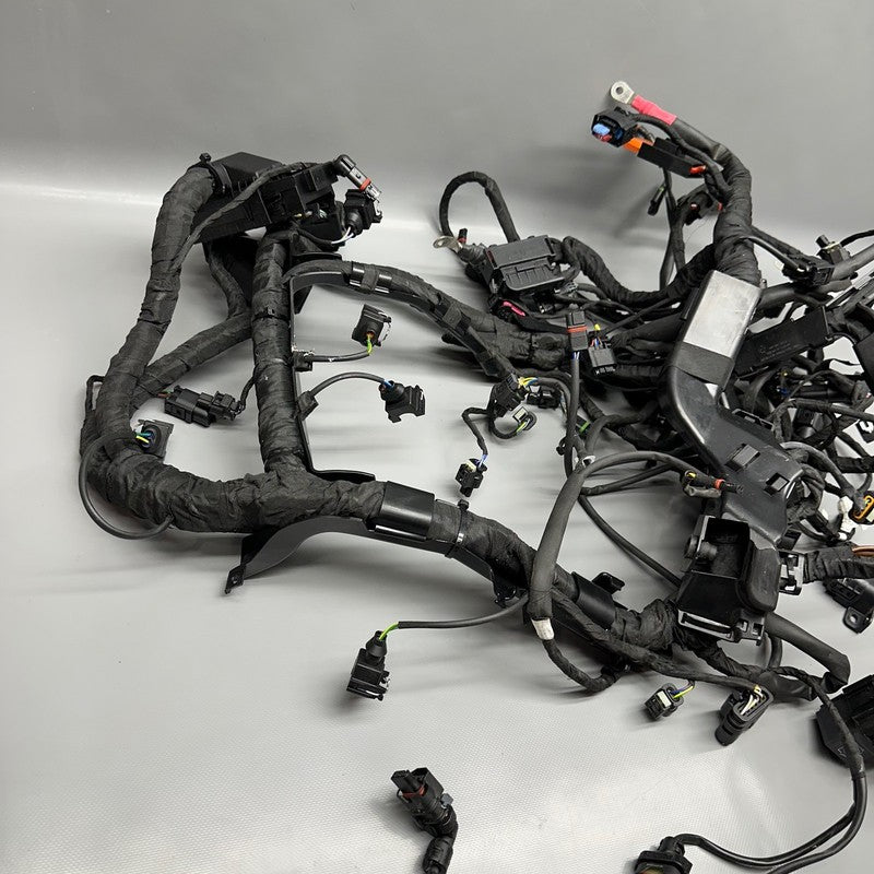 S1000R BMW S1000R MAIN ENGINE HARNESS 2020 2021 2022 2023 2024 2025 OEM