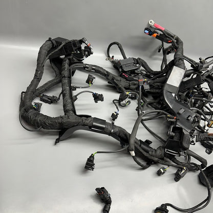 S1000R BMW S1000R MAIN ENGINE HARNESS 2020 2021 2022 2023 2024 2025 OEM