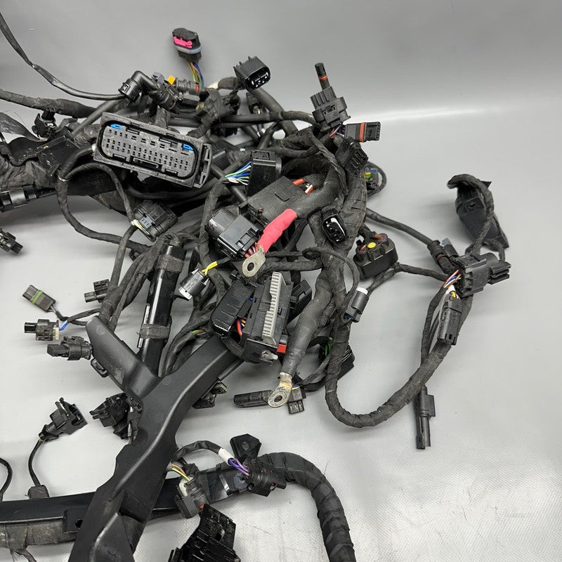 7105049 BMW S1000RR MAIN HARNESS WIRING LOOM 2018 2019 2020 2021 2022 OEM 7105049