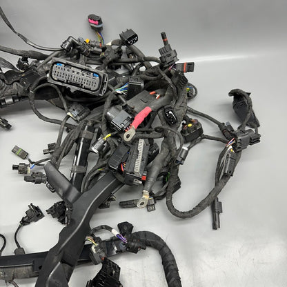 7105049 BMW S1000RR MAIN HARNESS WIRING LOOM 2018 2019 2020 2021 2022 OEM 7105049