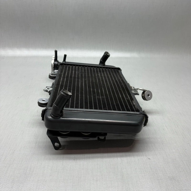 BMW G310R RADIATOR 2017 2018 OEM