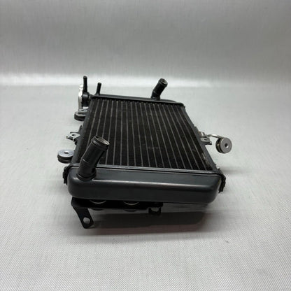 BMW G310R RADIATOR 2017 2018 OEM