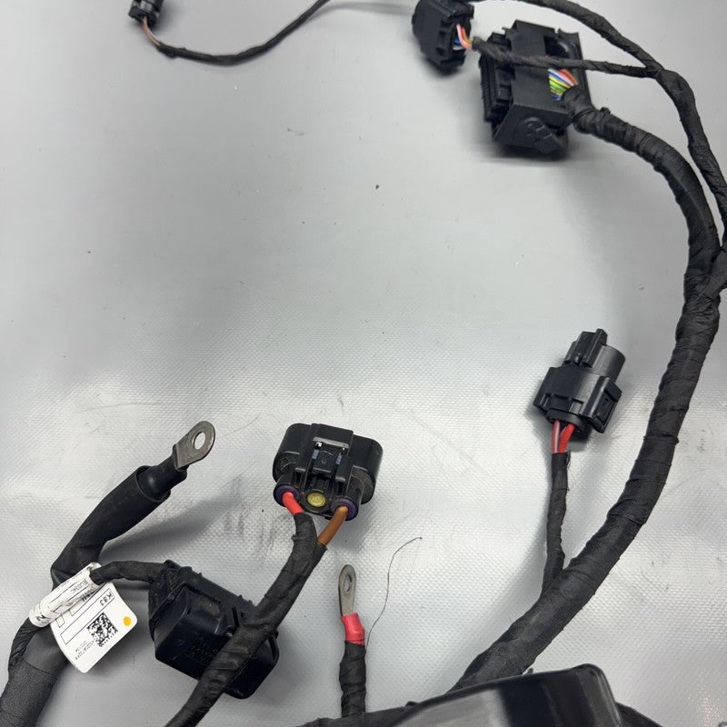 1692821 BMW F900R MAIN ENGINE HARNESS 2020 2021 2022 2023 2024 OEM 1692821