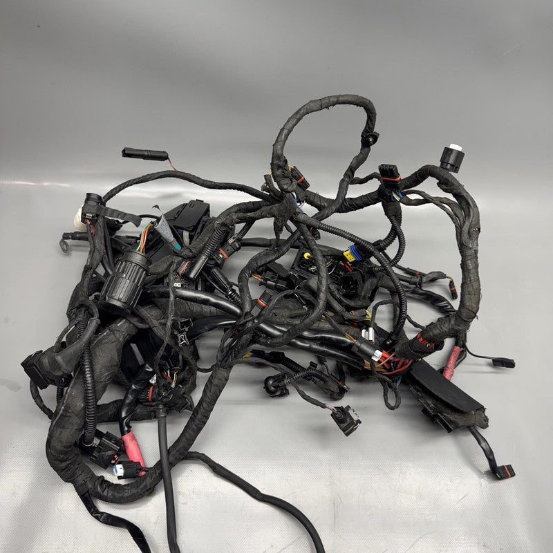 R1200GS BMW R1200GS MAIN ENGINE WIRE HARNESS 2009 2010 2011 2012 OEM
