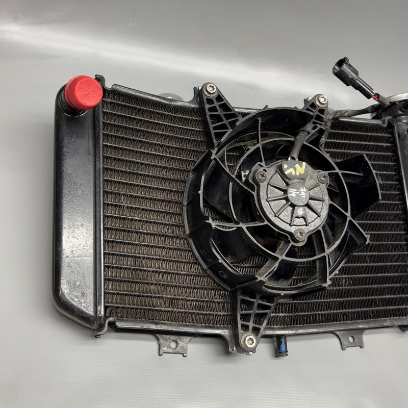 BMW G310GS RADIATOR WITH FAN 2016-2018 2019 2020 2021 2022 2023 2024 2