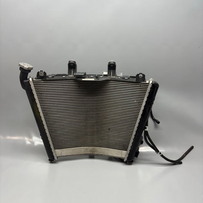 BMW S1000R RADIATOR WITH FAN 2020 2021 2022 2023 2024 2025 OEM 8356804