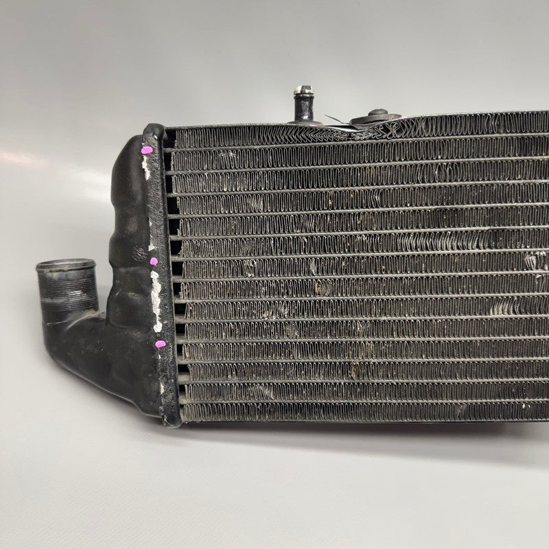 BMW K 1200LT RADIATOR LEFT 2005 2006 2007 2008 OEM 1465271