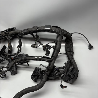 7105048 BMW M1000R MAIN WIRING HARNESS 2021 2022 2023 2024 OEM 7105048