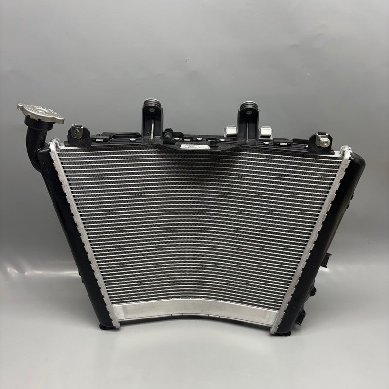 BMW S1000R RADIATOR 2020 2021 2022 2023 2024 2025 OEM 8356804