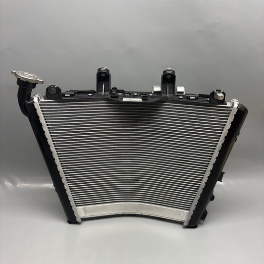 BMW S1000R RADIATOR 2020 2021 2022 2023 2024 2025 OEM 8356804