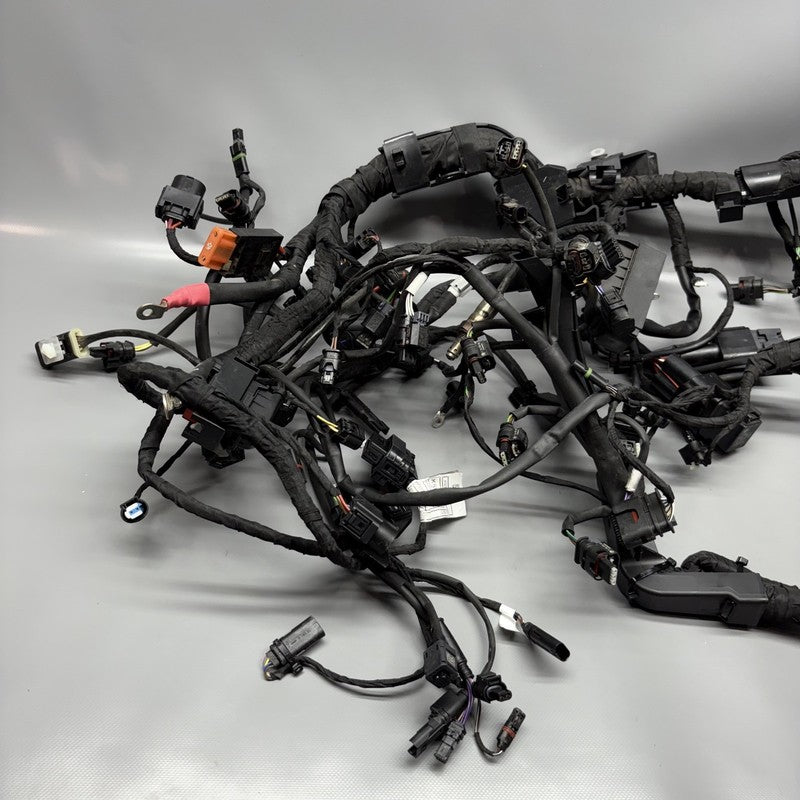 7105048 BMW M1000R MAIN WIRING HARNESS 2021 2022 2023 2024 OEM 7105048