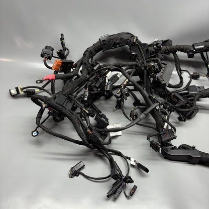 7105048 BMW M1000R MAIN WIRING HARNESS 2021 2022 2023 2024 OEM 7105048