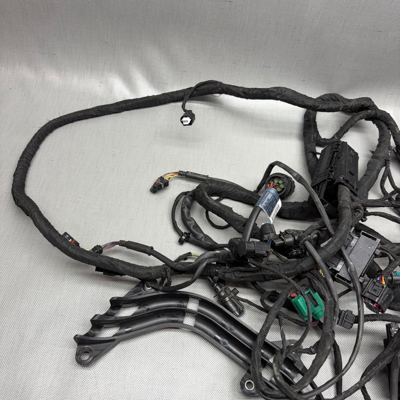 BMW C 650 EVOLUTION MAIN WIRING HARNESS 2015 2016 2017 2018 OEM