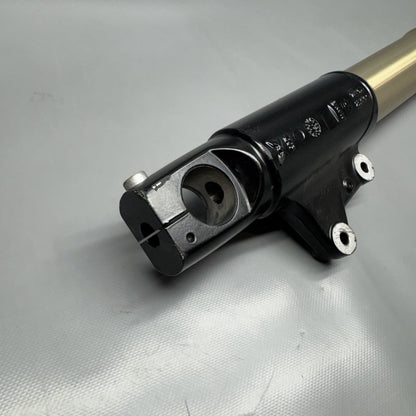 7667681 BMW R1200GS FRONT FORK SET 2009 2010 2011 2012 OEM 7664957 7664958