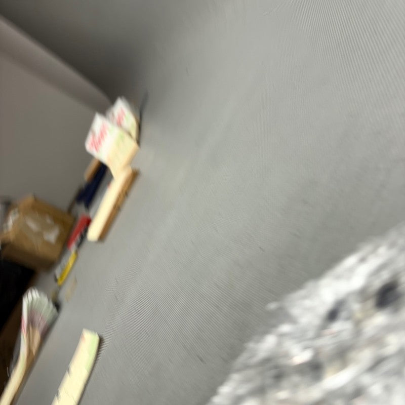 R1150RS BMW R1150RS ROTORS FRONT 2002 2003 2004 2005 2006 OEM