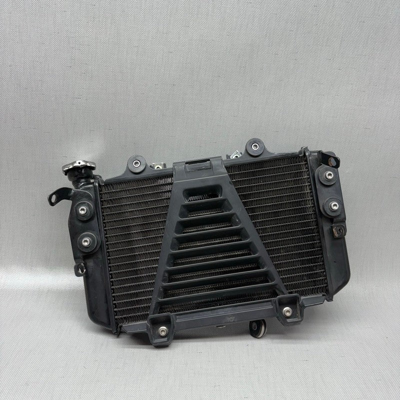 BMW G310R RADIATOR 2017 2018 OEM