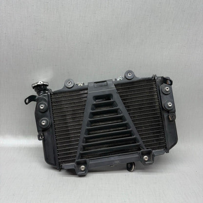 BMW G310R RADIATOR 2017 2018 OEM