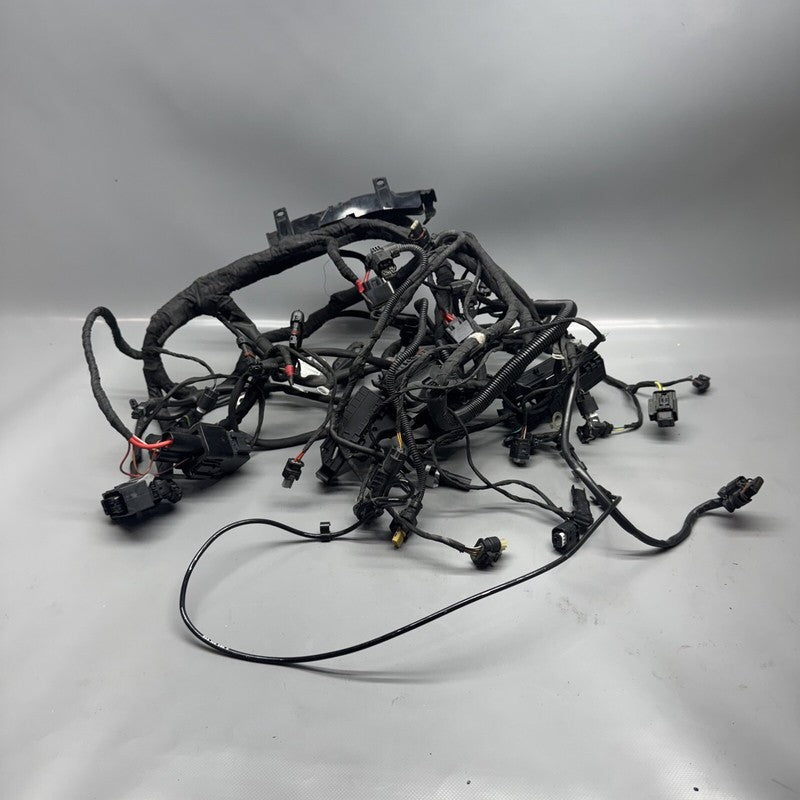 1692821 BMW F900R MAIN ENGINE HARNESS 2020 2021 2022 2023 2024 OEM 1692821
