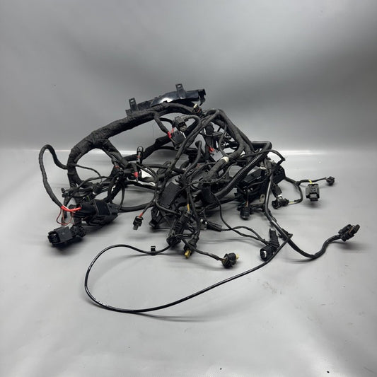 1692821 BMW F900R MAIN ENGINE HARNESS 2020 2021 2022 2023 2024 OEM 1692821