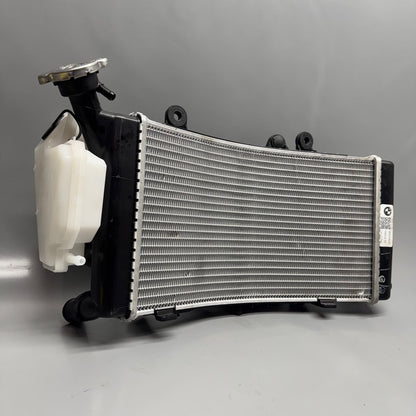 BMW F850GS RADIATOR 2016 2017 2018 2019 2020 2021 2022 2023 OEM 160019