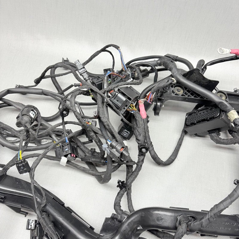 BMW R1250GS MAIN WIRING HARNESS 2018 2019 2020 2021 2022 2023 OEM 9480