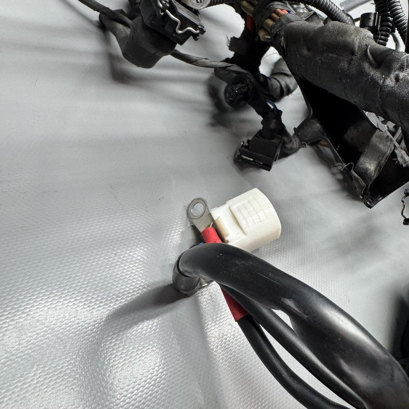 R1200GS BMW R1200GS MAIN ENGINE WIRE HARNESS 2009 2010 2011 2012 OEM