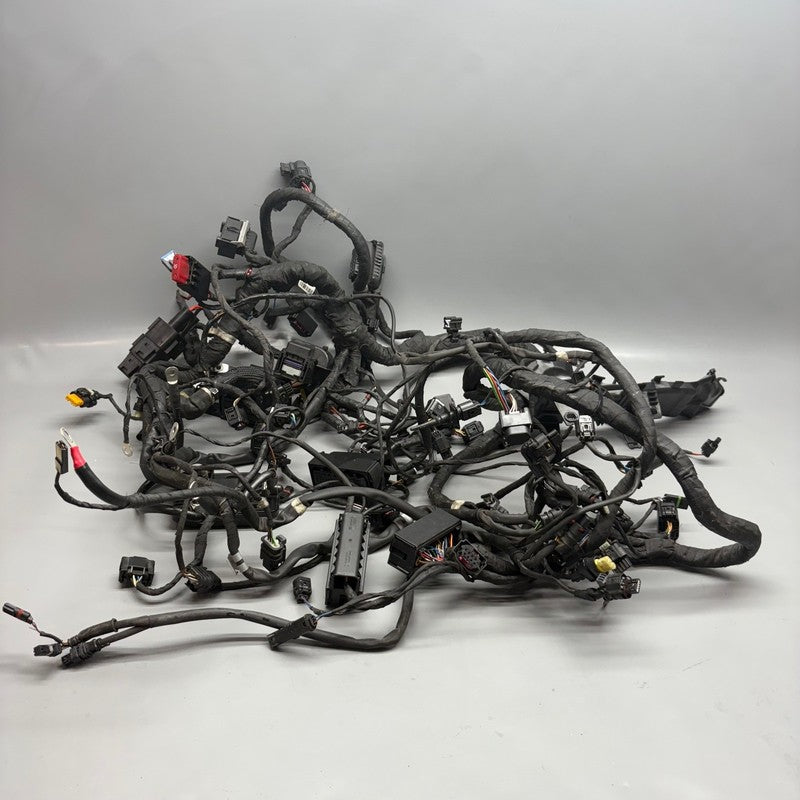 7108707 BMW R18 TRANSCONTINENTAL MAIN ENGINE HARNESS 2020 2021 2022 2023 2024 OEM