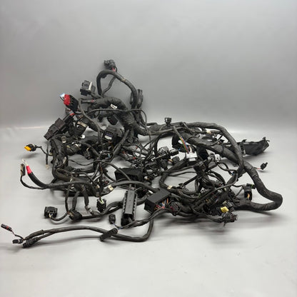 7108707 BMW R18 TRANSCONTINENTAL MAIN ENGINE HARNESS 2020 2021 2022 2023 2024 OEM