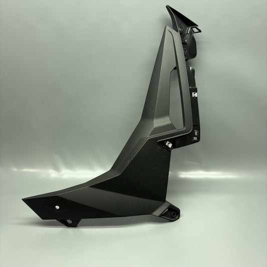 8393625 BMW S1000R LEFT SIDE FAIRING PANEL 2020 2021 2022 2023 2024 2025 OEM 8393625