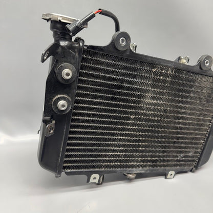 8558350 BMW G310 R RADIATOR 2016 2017 2018 2019 2020 OEM 8558350