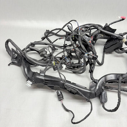 BMW R1250GS MAIN WIRING HARNESS 2018 2019 2020 2021 2022 2023 OEM 9480