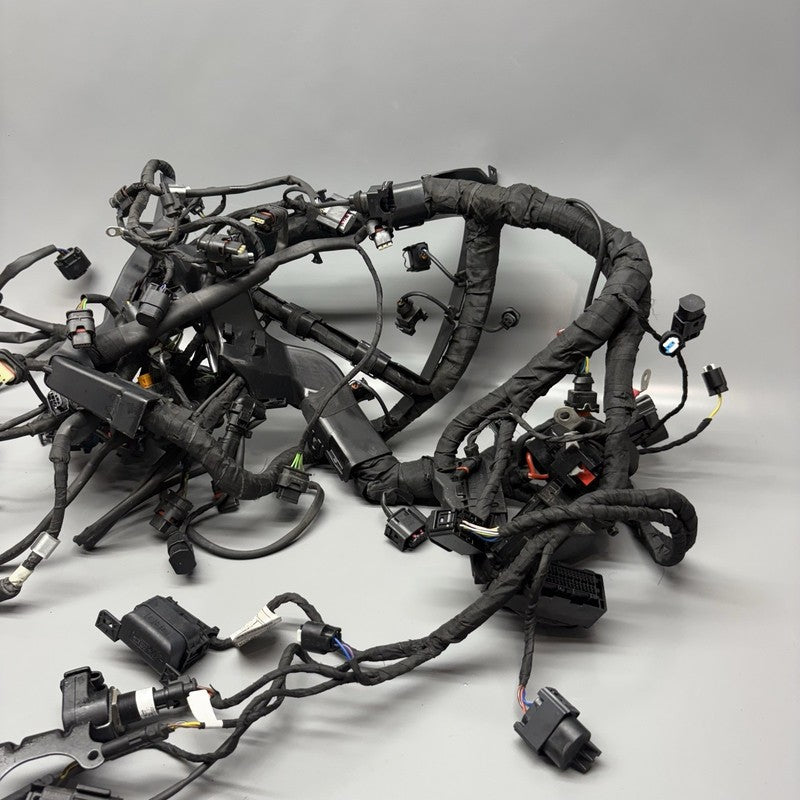 S1000R BMW S1000R MAIN ENGINE HARNESS 2020 2021 2022 2023 2024 2025 OEM 