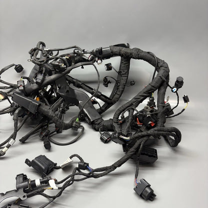 S1000R BMW S1000R MAIN ENGINE HARNESS 2020 2021 2022 2023 2024 2025 OEM 