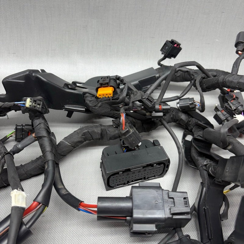 BMW S1000RR MAIN ENGINE WIRING HARNESS 2019 2020 2021 2022 2023 2024 O