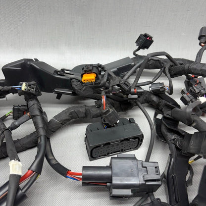 BMW S1000RR MAIN ENGINE WIRING HARNESS 2019 2020 2021 2022 2023 2024 O