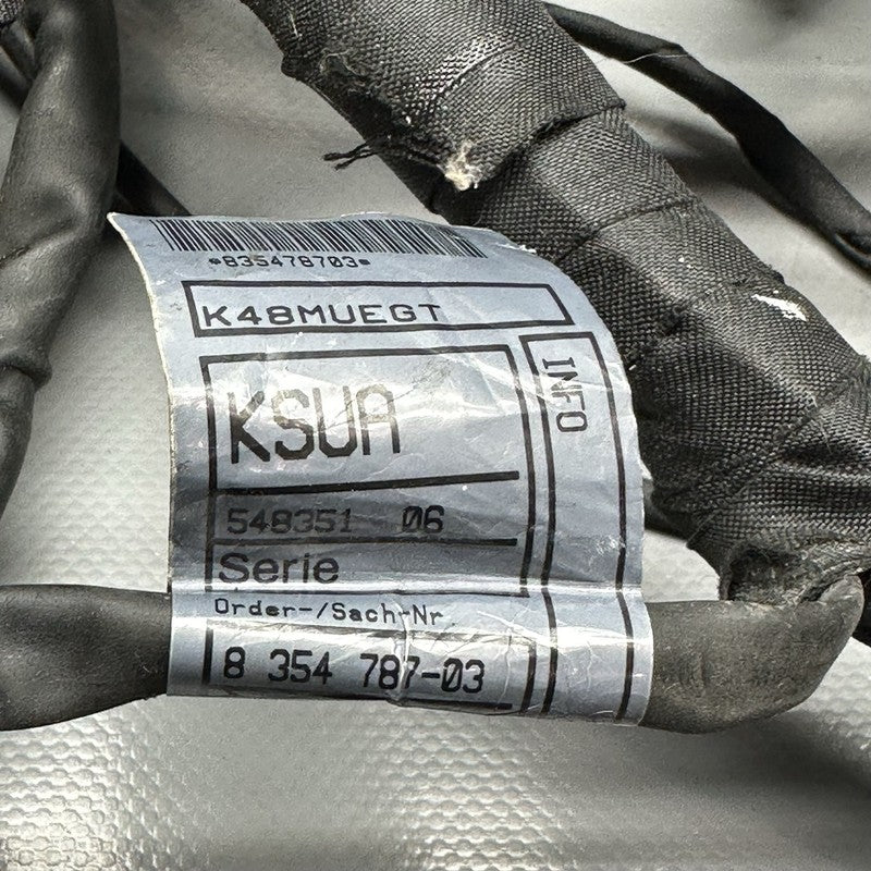 8354784 BMW K1600GTL MAIN ENGINE HARNESS 2015 2016 2017 2018 2019 2020 2021 OEM 8354784