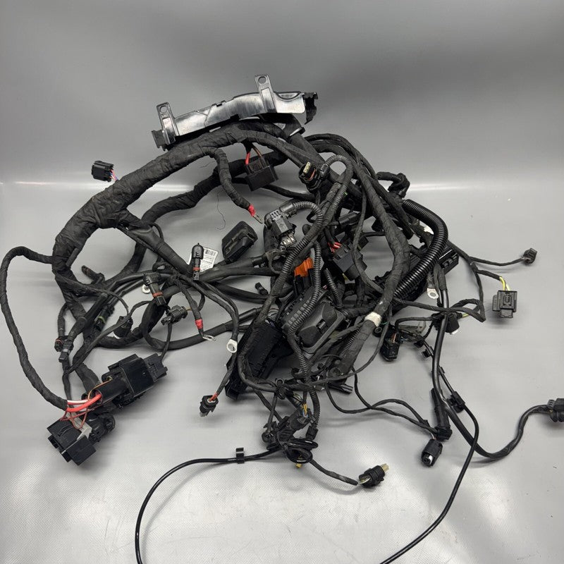 1692821 BMW F900R MAIN ENGINE HARNESS 2020 2021 2022 2023 2024 OEM 1692821