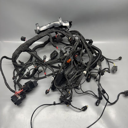 1692821 BMW F900R MAIN ENGINE HARNESS 2020 2021 2022 2023 2024 OEM 1692821