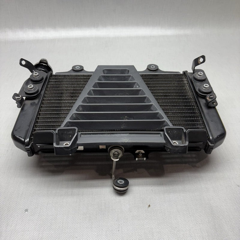 G310R BMW G310R RADIATOR 2017 2018 OEM 