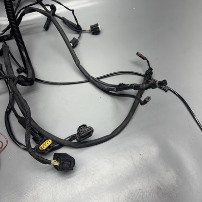 1692821 BMW F900R MAIN ENGINE HARNESS 2020 2021 2022 2023 2024 OEM 1692821